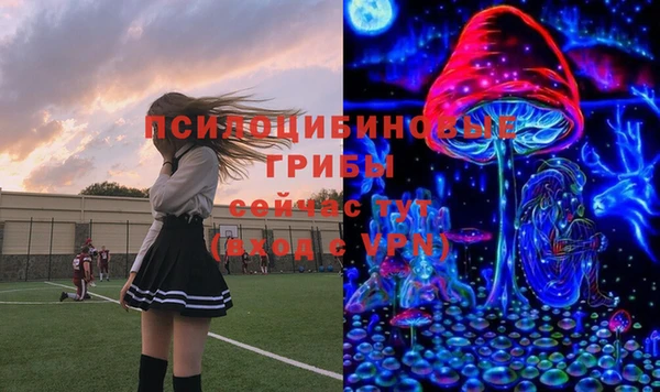 экстази Алексин