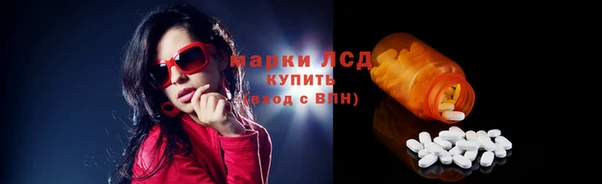 стаф Абинск