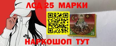 apvp Камышлов