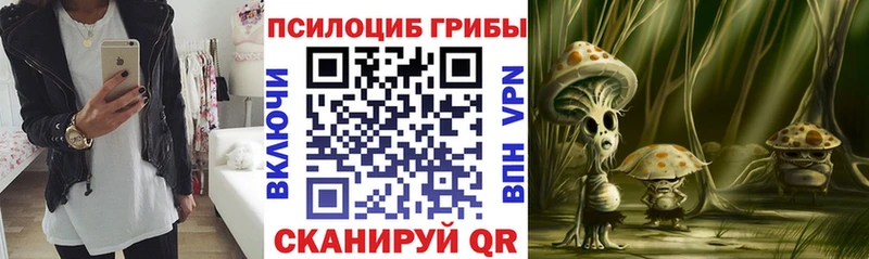 цены наркотик  Саранск  Псилоцибиновые грибы прущие грибы 