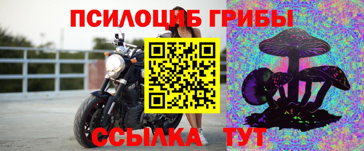 Саранск  где продают наркотики  Галлюциногенные грибы Cubensis  Вход с VPN  Галлюциногенные грибы прущие грибы 
