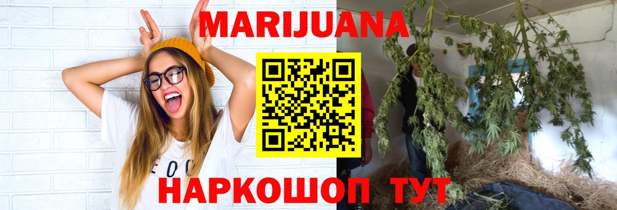 Конопля OG Kush Саранск